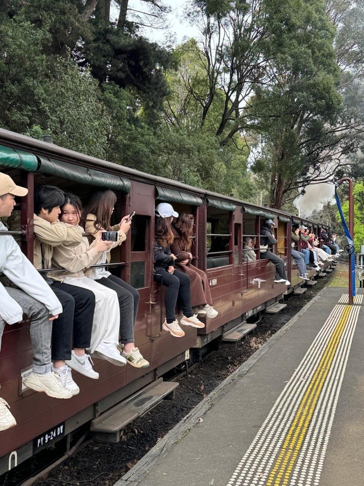 Guests riding the Puffing Billy steam train through the forest